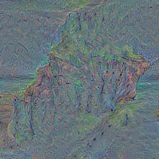n09246464